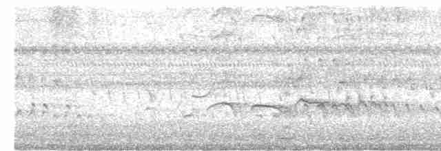 Kara Karınlı Islıkçı Ördek - ML617739369