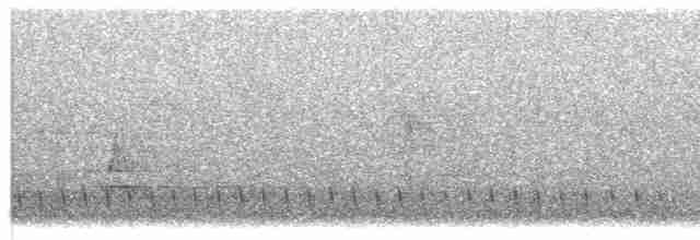 Серогрудый питуи - ML617740094