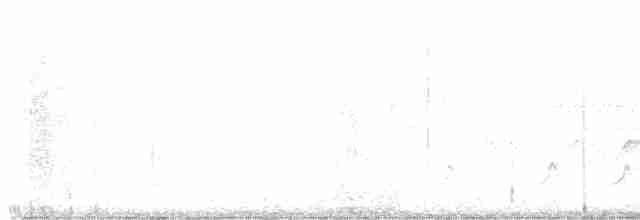 Reinita Protonotaria - ML617741083