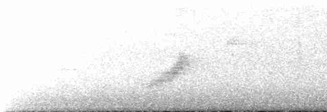 Oriole des vergers - ML617741343