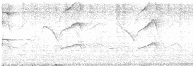 Swallow-tailed Kite - ML617741532