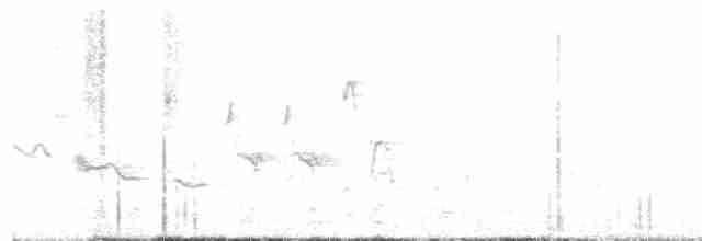 Oriole des vergers - ML617743472
