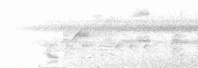 Риджвея сивоголова - ML617743971
