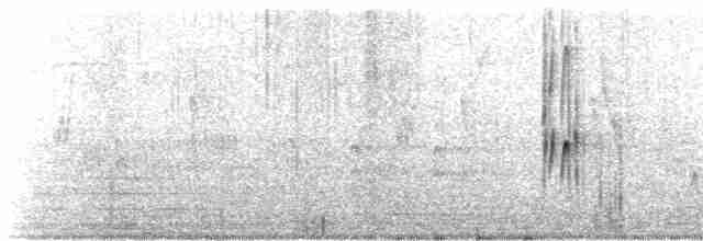 Серогрудый трескунчик - ML617747954