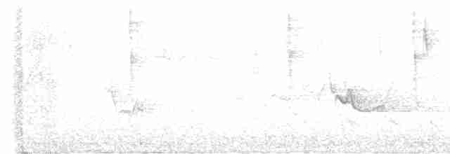 lesňáček modrohřbetý - ML617748226