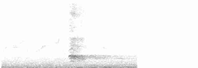 Yellow-crowned Night Heron - ML617748489