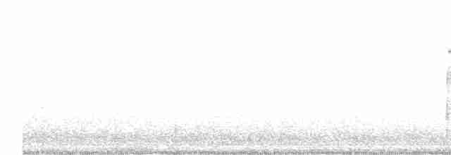 indianerspett (villosus gr.) - ML617749894