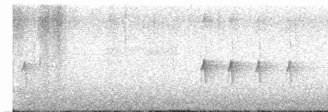 "Шишкар ялиновий (Northeastern, або тип 12)" - ML617750051