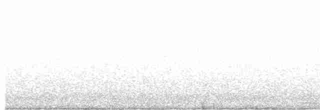 Сова плямиста - ML617750861