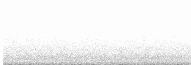 Сова плямиста - ML617750862