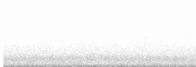 Сова плямиста - ML617750863