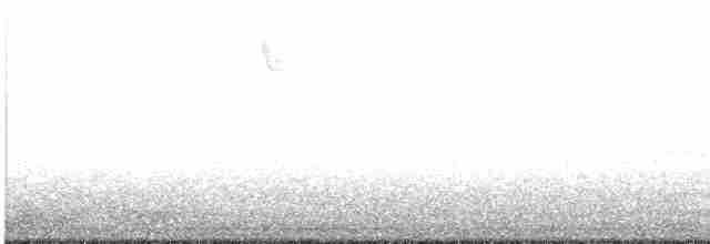 American Tree Sparrow - ML617751764