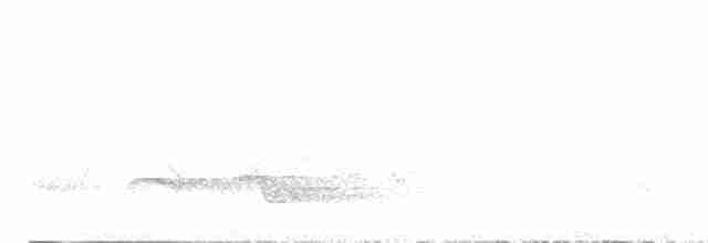 Белоухая сибия - ML617752259