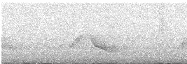 Büyük Atmaca Guguğu - ML617752412