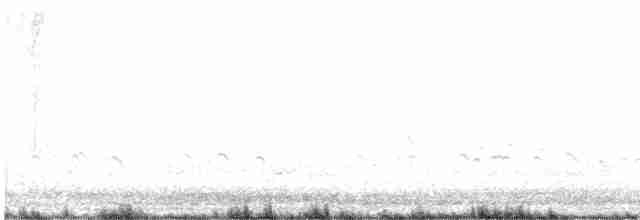 Avoceta Americana - ML617752498