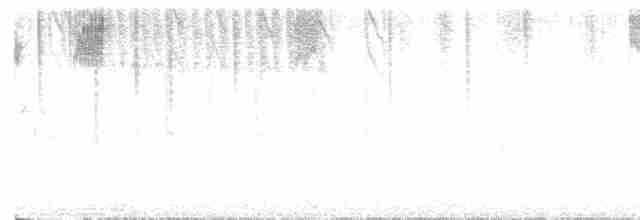 Kara Gözlü Junko (hyemalis/carolinensis) - ML617752822