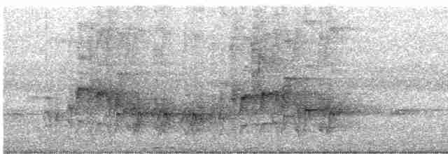 Лінивка-чорнопер жовтодзьоба - ML617754879