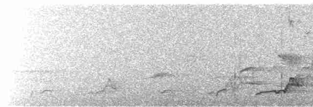 Schwarzkehl-Nachtschwalbe - ML617755991