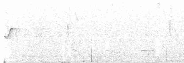 Curve-billed Tinamou - ML617758866