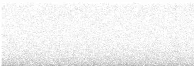 Сова плямиста - ML617759300