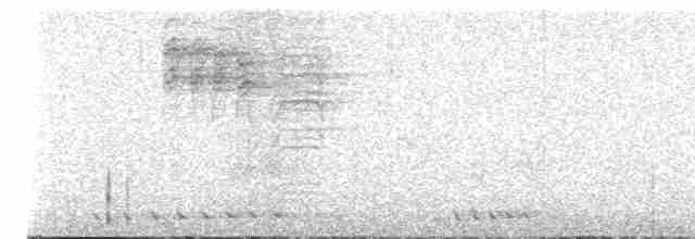 Kestane Karınlı Baştankara - ML617760369