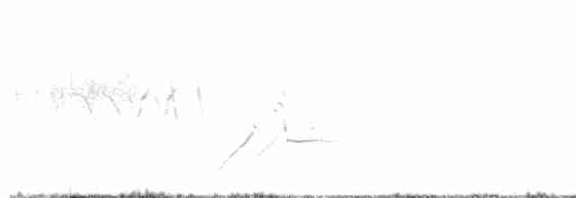 prærielerketrupial - ML617760523