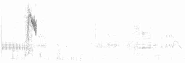 Берингийская жёлтая трясогузка - ML617760855