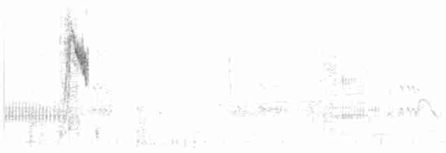 Берингийская жёлтая трясогузка - ML617760856