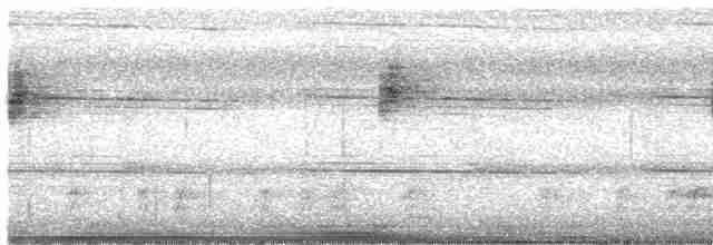 Arctic Warbler - ML617762476