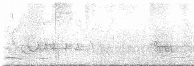 Weißbrauendrossel - ML617762743