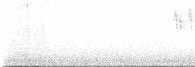 Black-throated Gray Warbler - ML617762773
