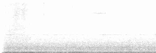 Black-throated Gray Warbler - ML617762774