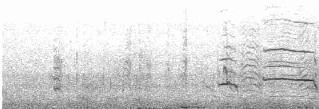 kormorán rudonohý - ML617763407