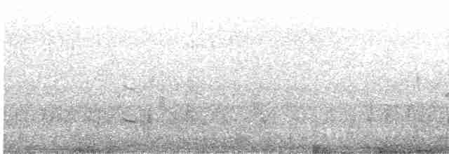 kormorán rudonohý - ML617763414