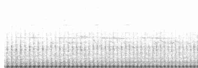Eurasian Collared-Dove - ML617763784