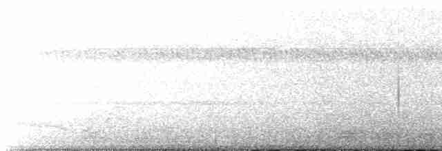 Pauraquenachtschwalbe - ML617763916