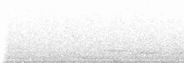 Weißbürzel-Krähenstar - ML617767804