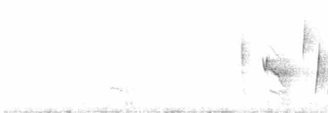 White-eyed Vireo - ML617768970