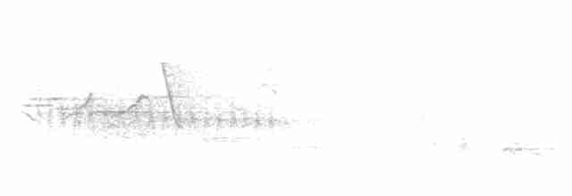 Белошейная веерохвостка - ML617768988