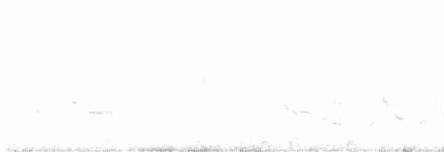 Vireo Ojiblanco - ML617769014