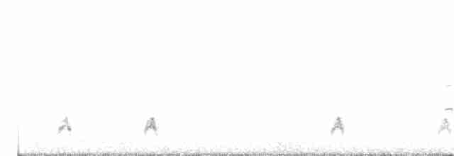 White-throated Kingfisher - ML617770097