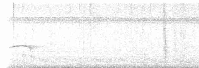 Тиран-малюк омеловий - ML617771756