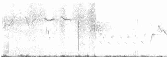 Tree Swallow - ML617773923