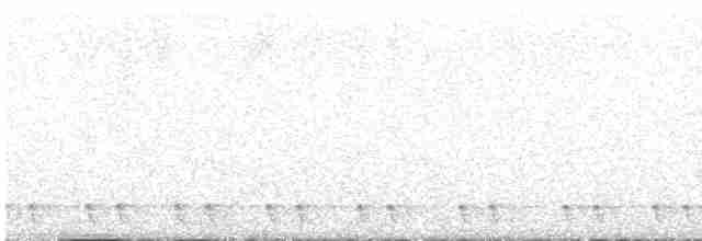 Red-necked Nightjar - ML617774055