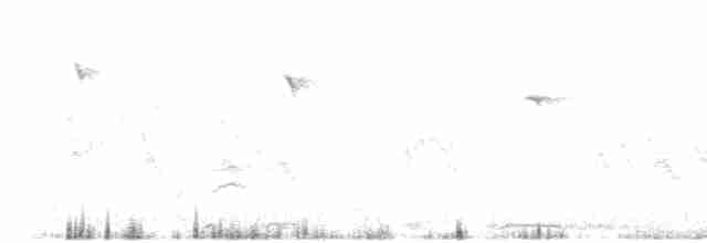 Колібрі-самоцвіт синьогорлий - ML617775064
