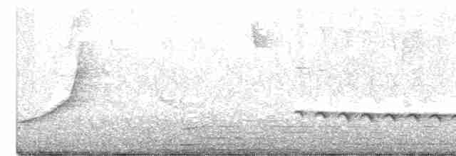 Black-crested Titmouse - ML617775654