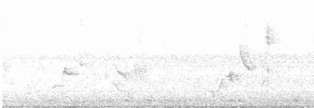 Gray Catbird - ML617777242