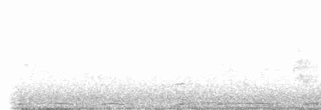Eurasian Collared-Dove - ML617777788