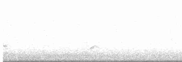 Крячок рябодзьобий - ML617779431