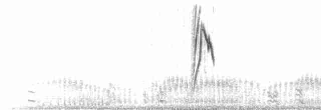 Western Yellow Wagtail (iberiae) - ML617780336